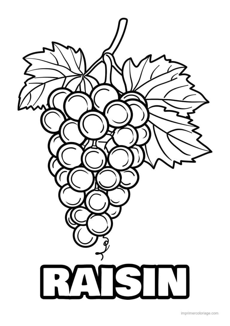 coloriage raisin grappe de raisin gravee 106 - dessin gratuit &agrave; imprimer
