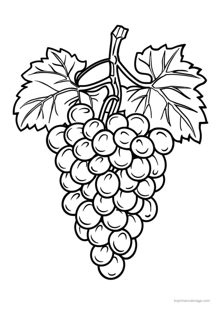 coloriage raisin grappe de raisin gravee 139 - dessin gratuit &agrave; imprimer