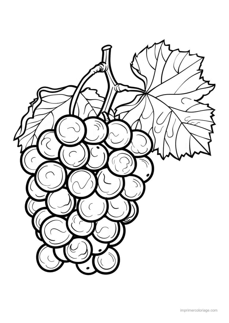 coloriage raisin grappe de raisin gravee 153 - dessin gratuit &agrave; imprimer