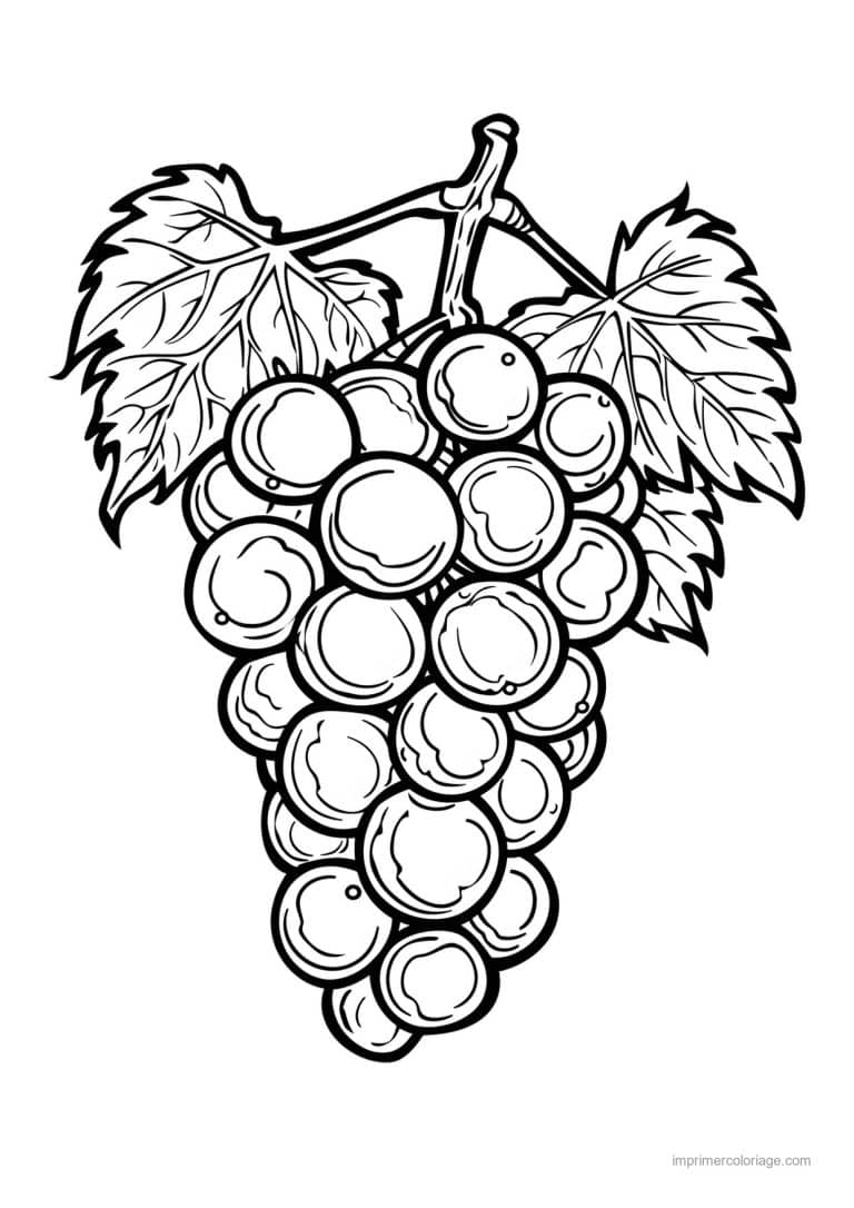 coloriage raisin grappe de raisin gravee 189 - dessin gratuit &agrave; imprimer