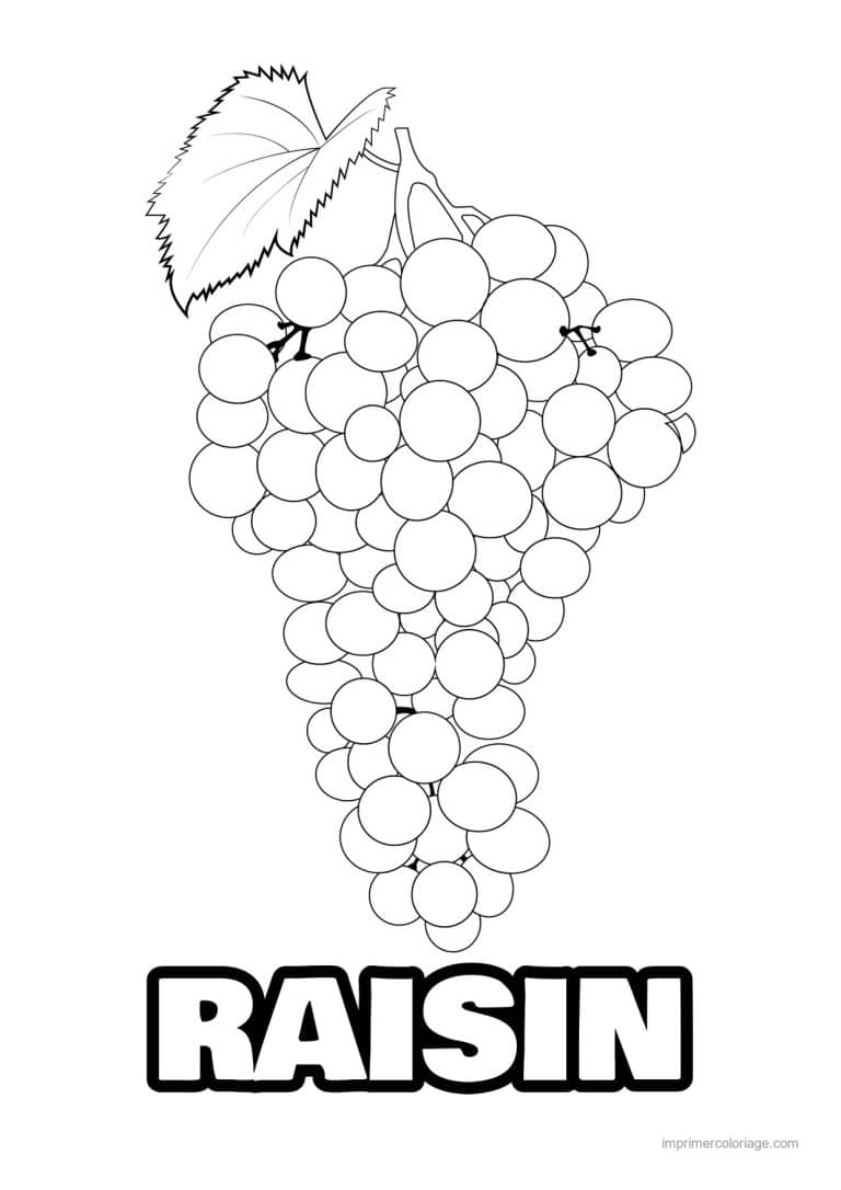 coloriage raisin grosse grappe de raisin - dessin gratuit &agrave; imprimer