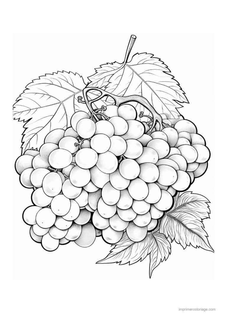 coloriage raisin grosse grappe de raisin et feuille - dessin gratuit &agrave; imprimer