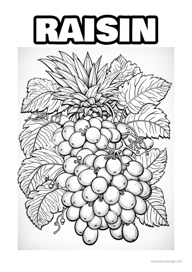 coloriage raisin grosse grappe de raisin et feuilles - dessin gratuit &agrave; imprimer
