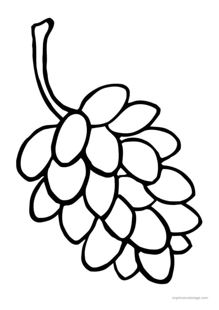 coloriage raisin petite grappe de raisin - dessin gratuit &agrave; imprimer