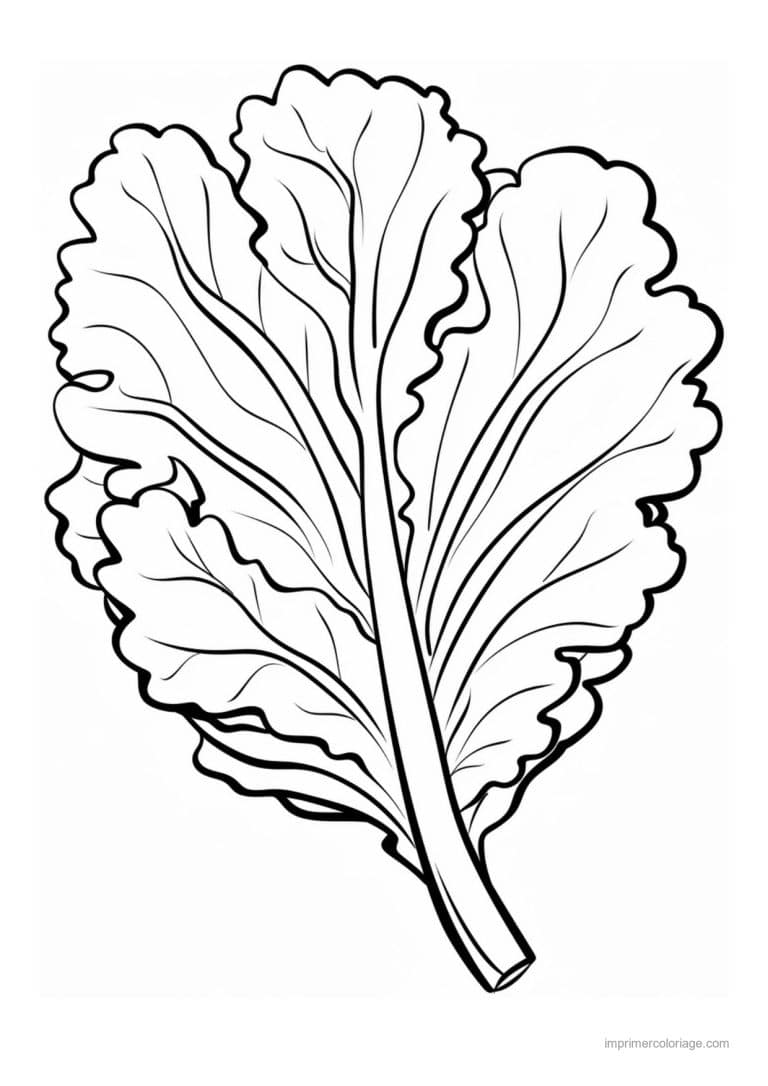 coloriage salade laitue bouquet de feuilles de laitue - dessin gratuit &agrave; imprimer
