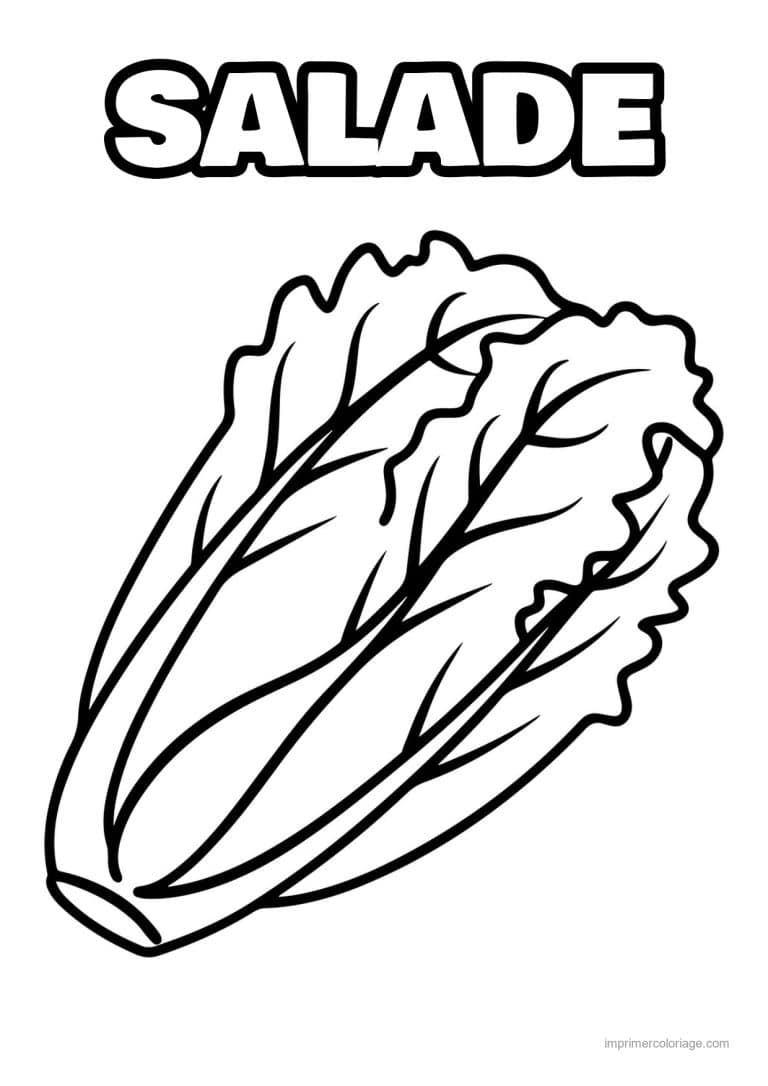 coloriage salade laitue coeur de laitue - dessin gratuit &agrave; imprimer