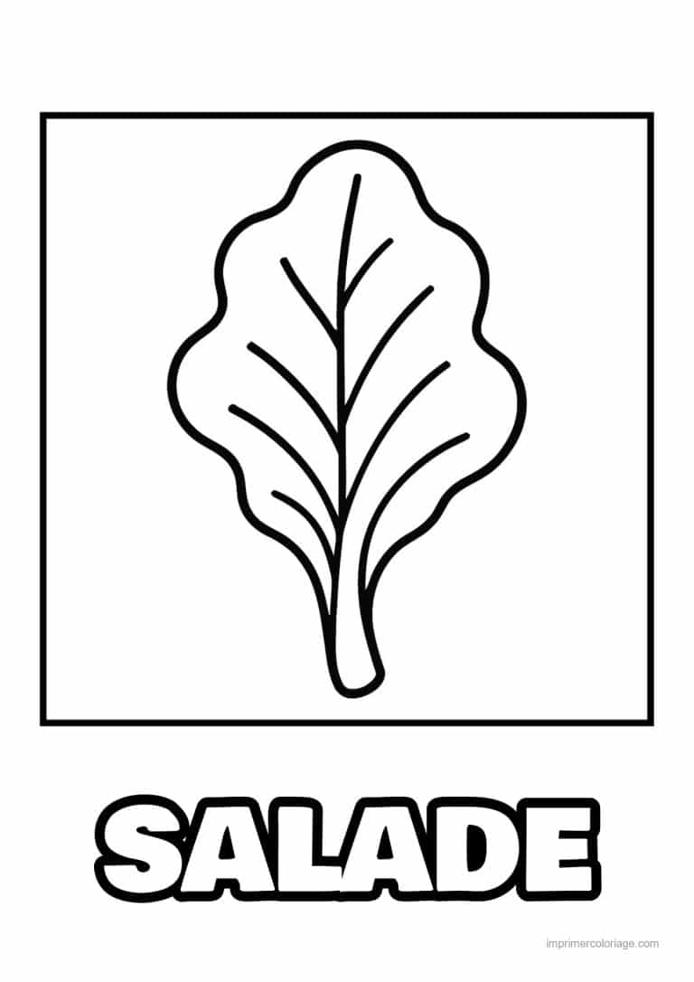 coloriage salade laitue feuille de laitue - dessin gratuit &agrave; imprimer