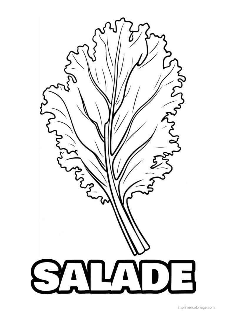coloriage salade laitue feuille de laitue frisee - dessin gratuit &agrave; imprimer