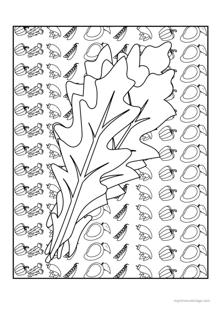 coloriage salade laitue feuille de roquette 2 - dessin gratuit &agrave; imprimer