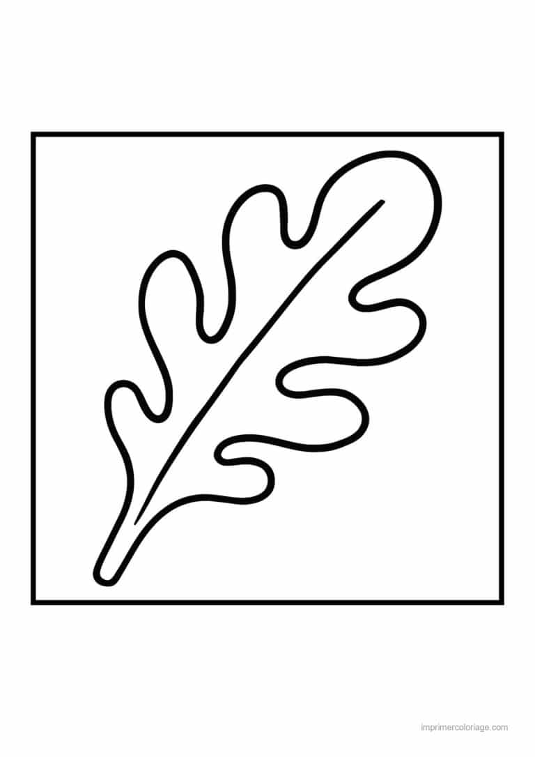 coloriage salade laitue feuille de roquette - dessin gratuit &agrave; imprimer