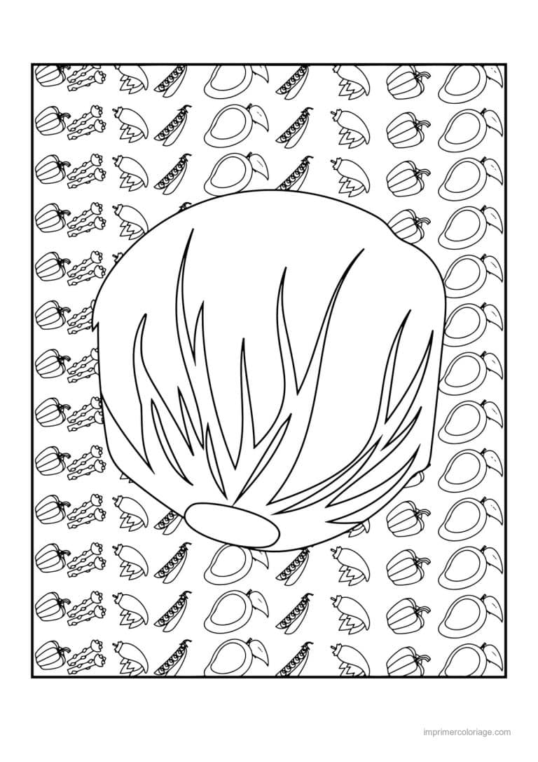 coloriage salade laitue oignon nouveau et salade - dessin gratuit &agrave; imprimer