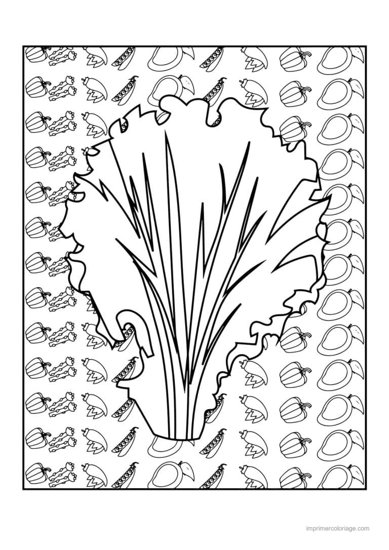 coloriage salade laitue salade frisee 2 - dessin gratuit &agrave; imprimer
