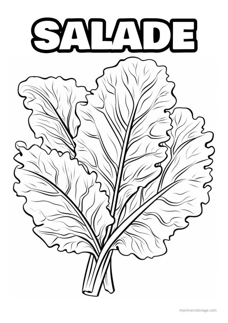 coloriage salade laitue touffe de feuilles de laitue - dessin gratuit &agrave; imprimer