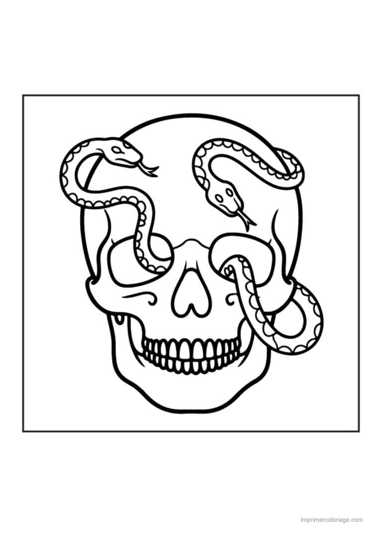coloriage tete de mort crane et serpents - dessin gratuit &agrave; imprimer