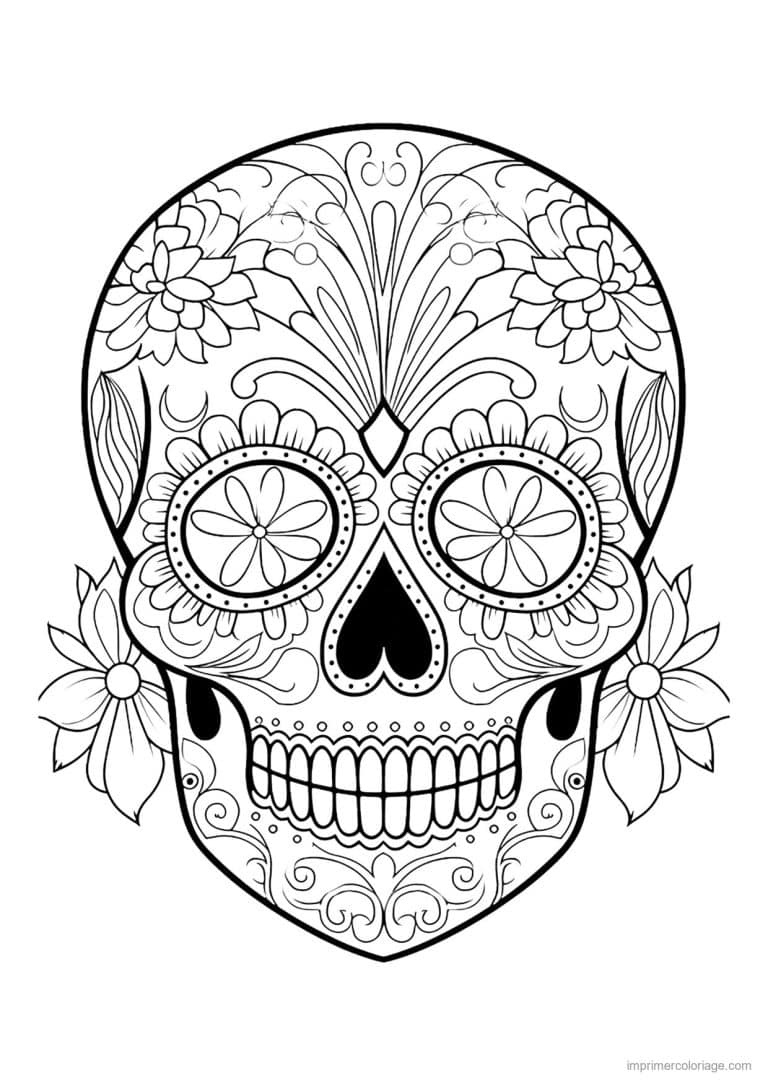 coloriage tete de mort marguerites laterales - dessin gratuit &agrave; imprimer