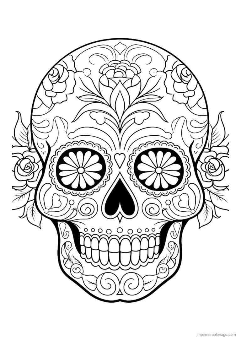 coloriage tete de mort rose de cote - dessin gratuit &agrave; imprimer