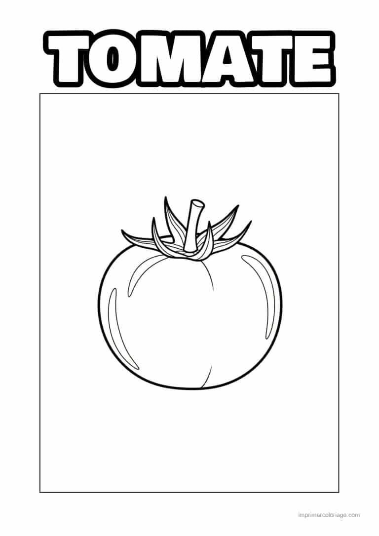 coloriage tomate tomate a la longue tige - dessin gratuit &agrave; imprimer