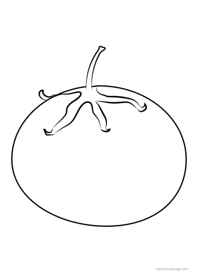 coloriage tomate tomate au trait epais - dessin gratuit &agrave; imprimer