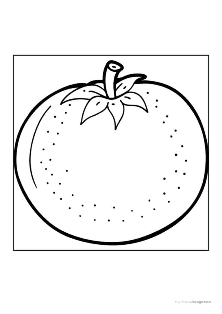 coloriage tomate tomate et son pedoncule - dessin gratuit &agrave; imprimer