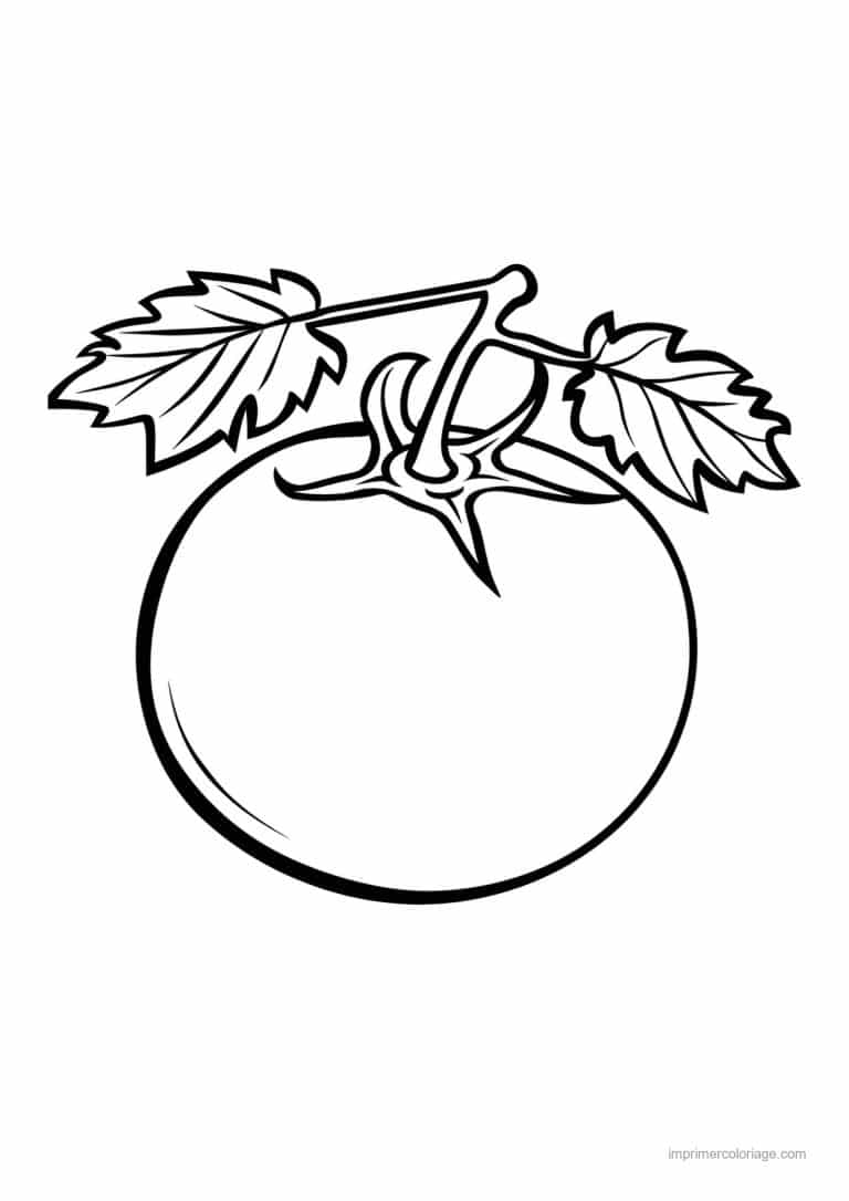 coloriage tomate tomate gravee 33 - dessin gratuit &agrave; imprimer