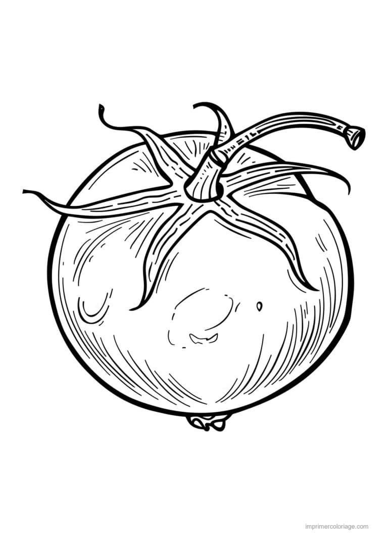 coloriage tomate tomate gravee 51 - dessin gratuit &agrave; imprimer