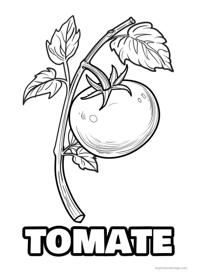 coloriage tomate tomate gravee 59 - dessin gratuit &agrave; imprimer