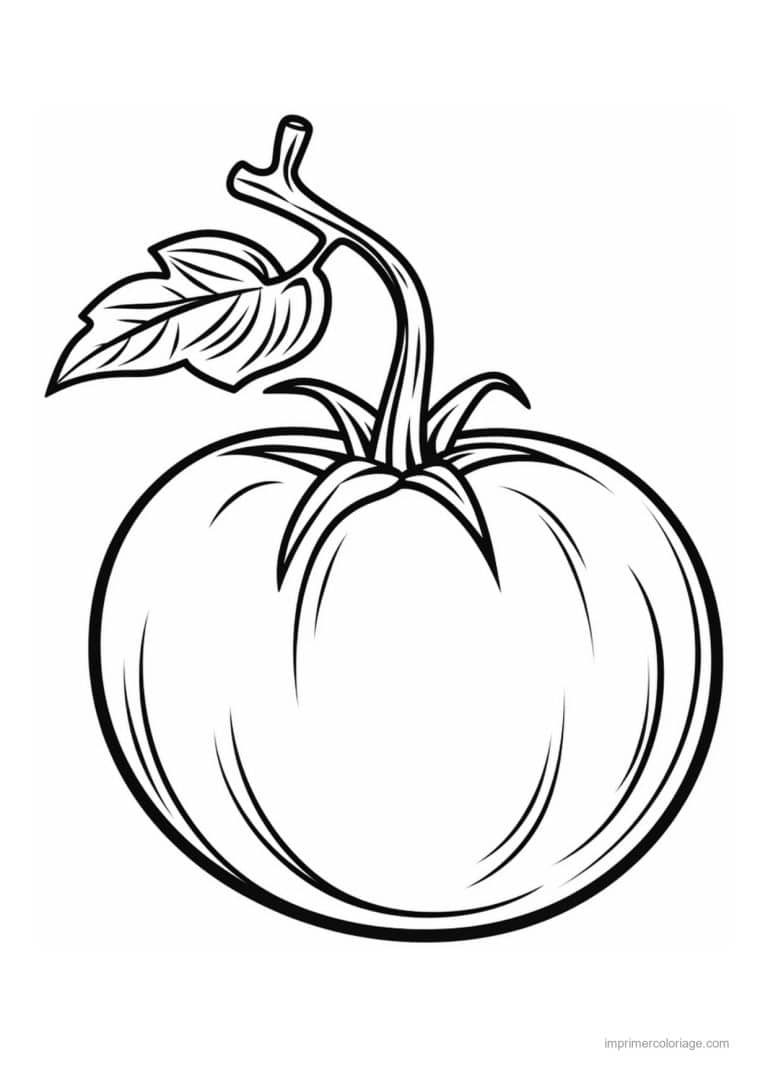 coloriage tomate tomate sur sa branche 2 - dessin gratuit &agrave; imprimer