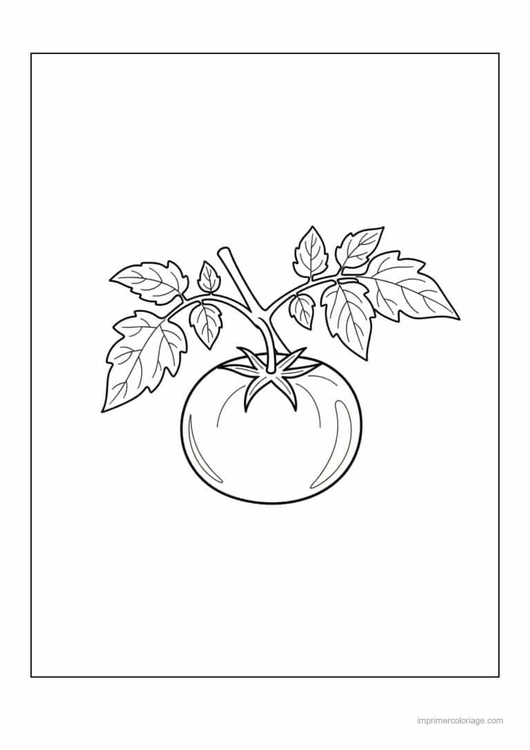 coloriage tomate tomate sur son rameau feuillu - dessin gratuit &agrave; imprimer