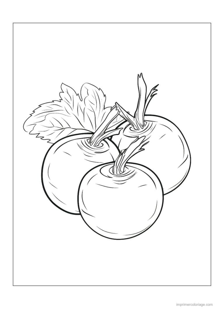 coloriage tomate tomates sur le plant 32 - dessin gratuit &agrave; imprimer