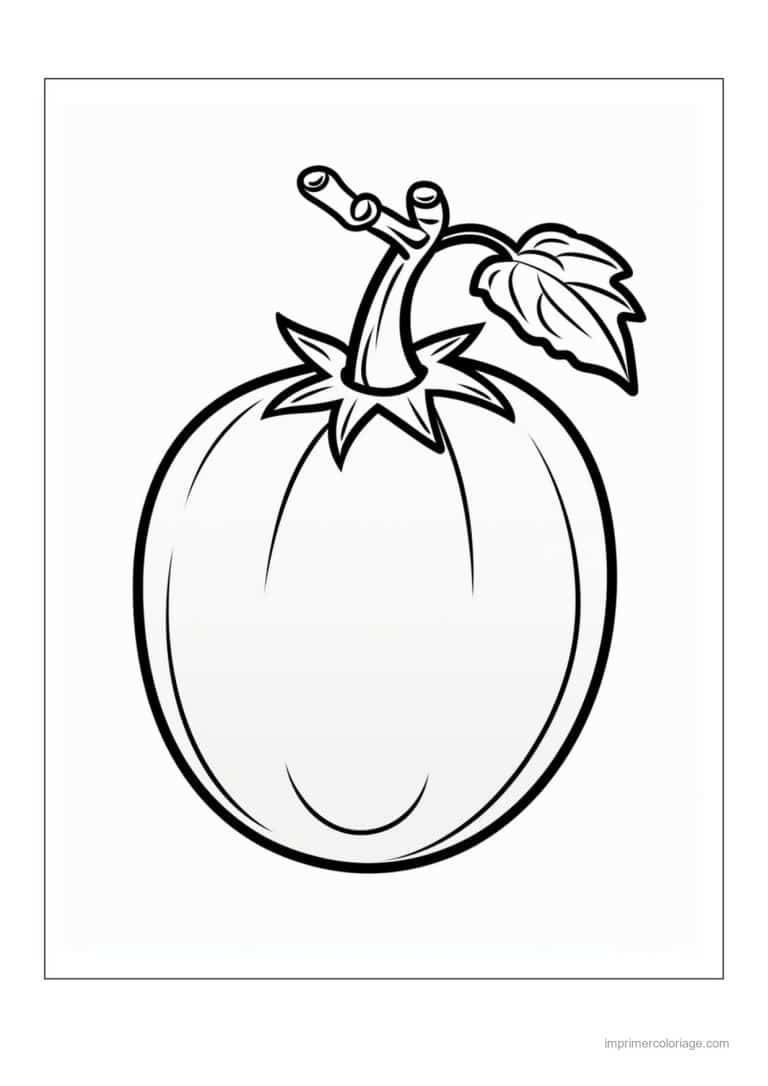 coloriage tomate tomates sur le plant 50 - dessin gratuit &agrave; imprimer