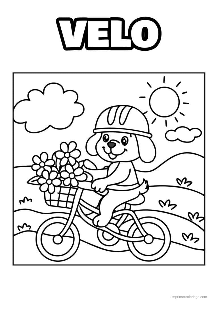 coloriage velo chiot casque panier fleurs - dessin gratuit &agrave; imprimer