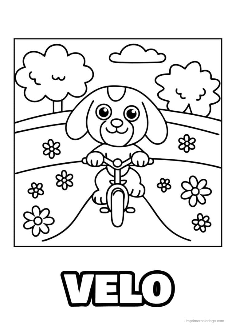 coloriage velo chiot velo fleurs - dessin gratuit &agrave; imprimer