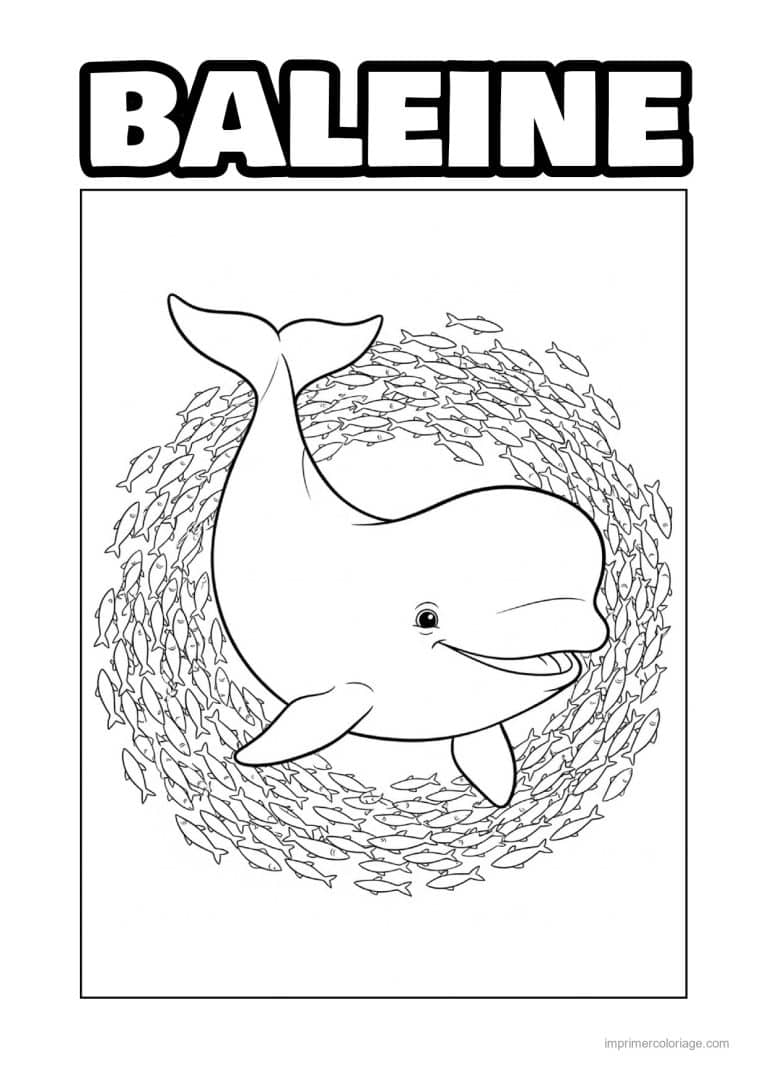 coloriage baleine beluga banc de poissons - dessin gratuit &agrave; imprimer