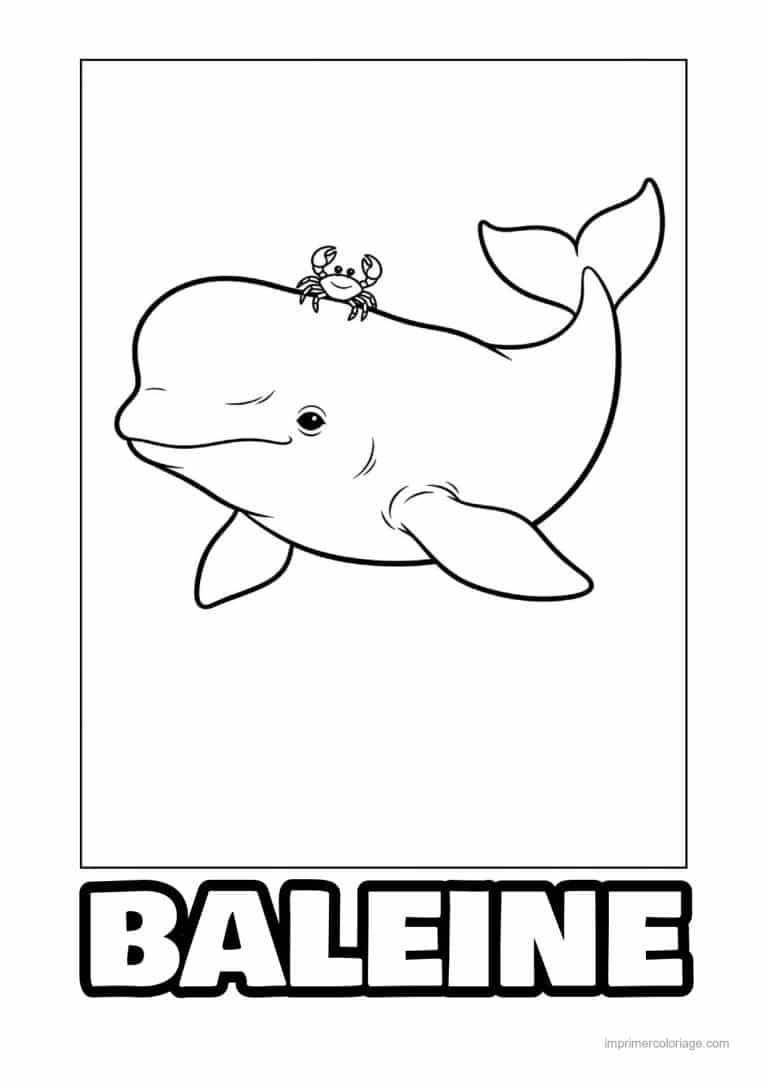 coloriage baleine beluga crabe sur la tete - dessin gratuit &agrave; imprimer