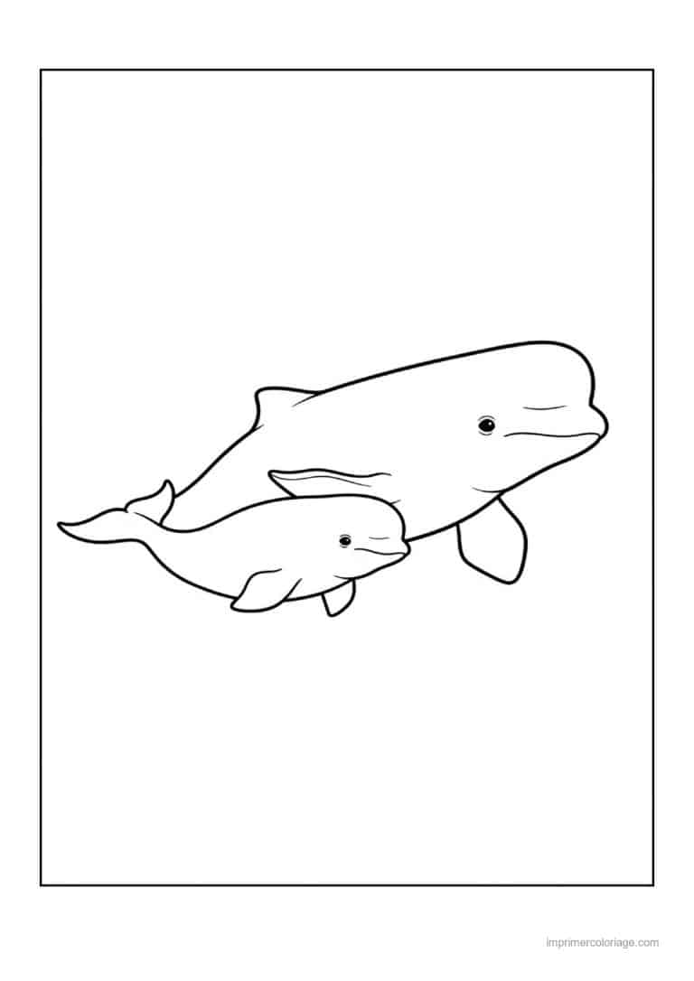 coloriage baleine beluga maman et bebe - dessin gratuit &agrave; imprimer