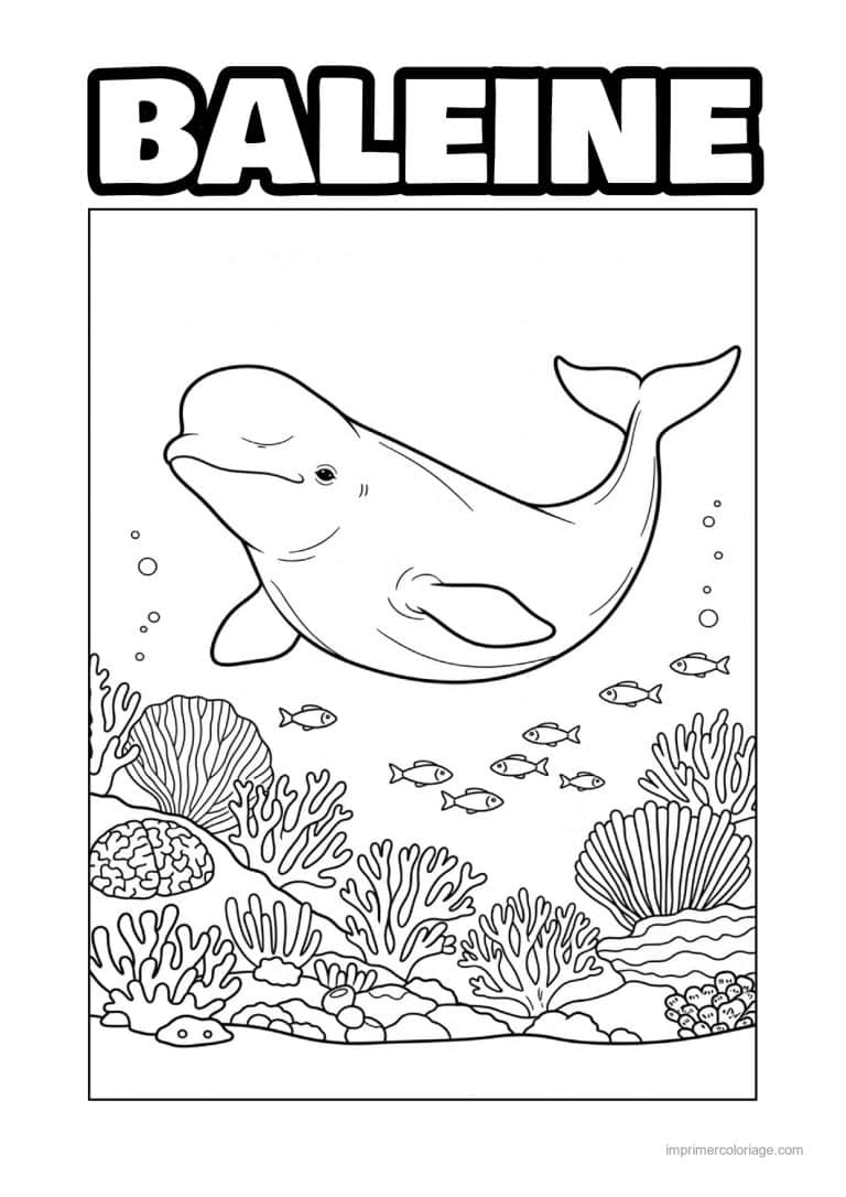 coloriage baleine beluga recif de corail - dessin gratuit &agrave; imprimer