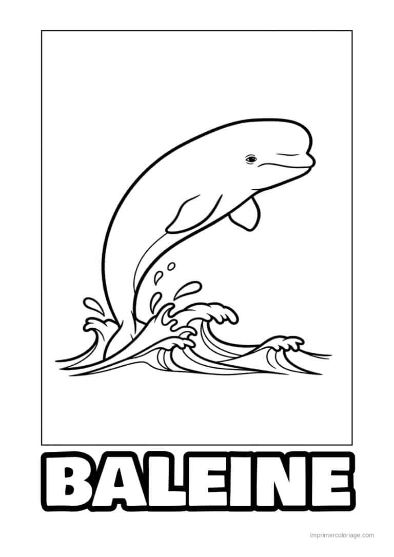 coloriage baleine beluga saut hors des vagues - dessin gratuit &agrave; imprimer