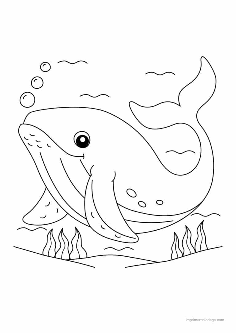 coloriage baleine cartoon algues et bulles - dessin gratuit &agrave; imprimer