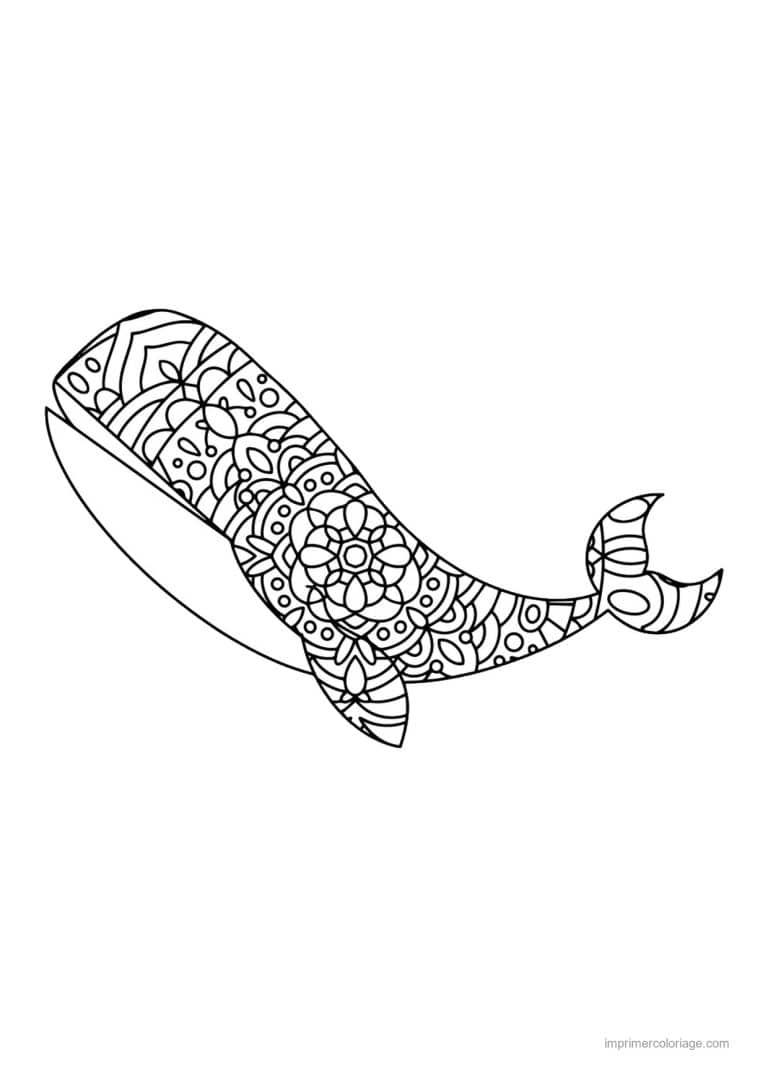 coloriage baleine corps rempli de mandalas - dessin gratuit &agrave; imprimer