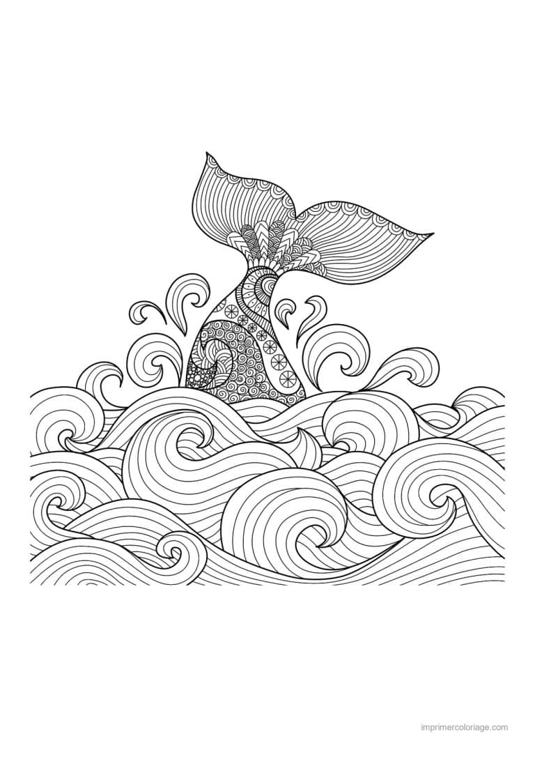 coloriage baleine queue zentangle sur les vagues - dessin gratuit &agrave; imprimer