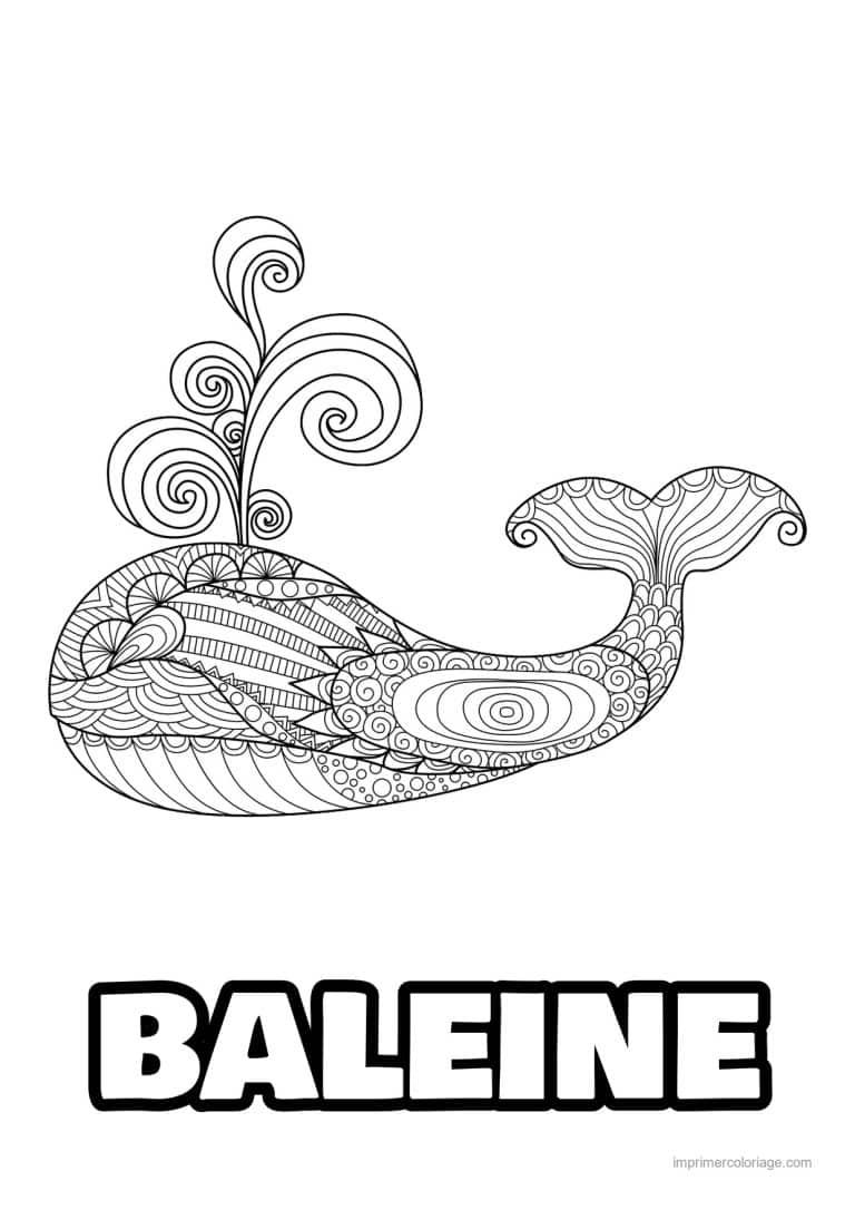 coloriage baleine zentangle jet en spirales - dessin gratuit &agrave; imprimer