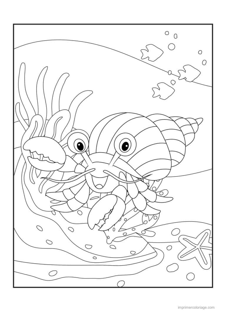 coloriage crabe bernard l ermite coquillage - dessin gratuit &agrave; imprimer