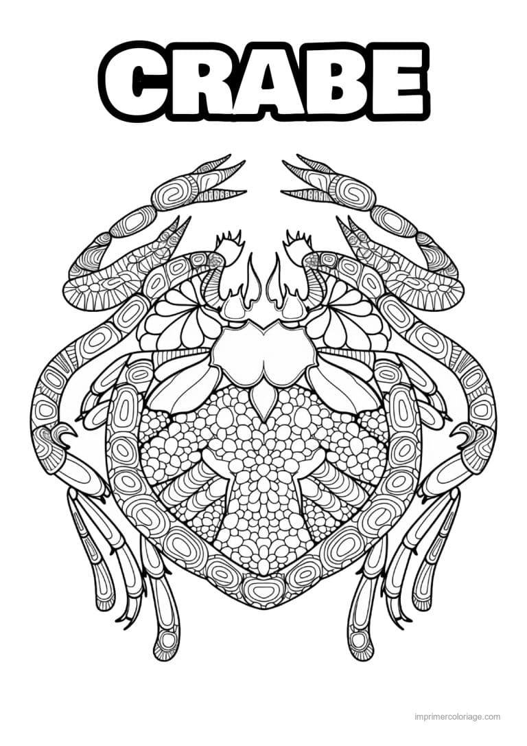coloriage crabe mandala carapace perlee - dessin gratuit &agrave; imprimer