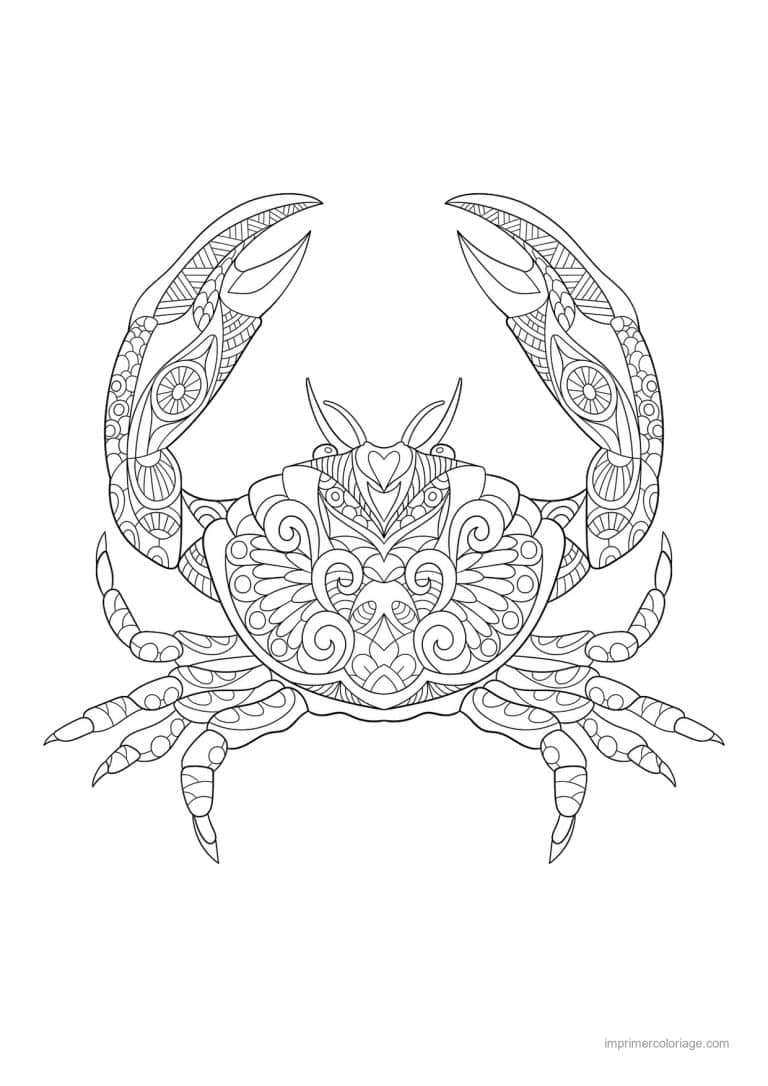 coloriage crabe trait leger zentangle - dessin gratuit &agrave; imprimer