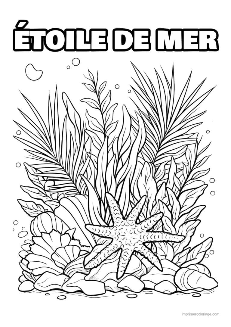 coloriage etoile de mer au pied des algues - dessin gratuit &agrave; imprimer