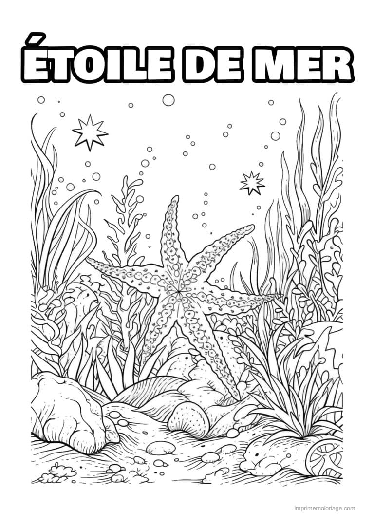 coloriage etoile de mer dans une foret d algues - dessin gratuit &agrave; imprimer