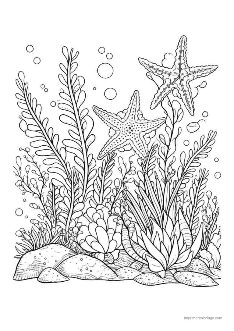 coloriage etoile de mer deux flottant au dessus des algues - dessin gratuit &agrave; imprimer