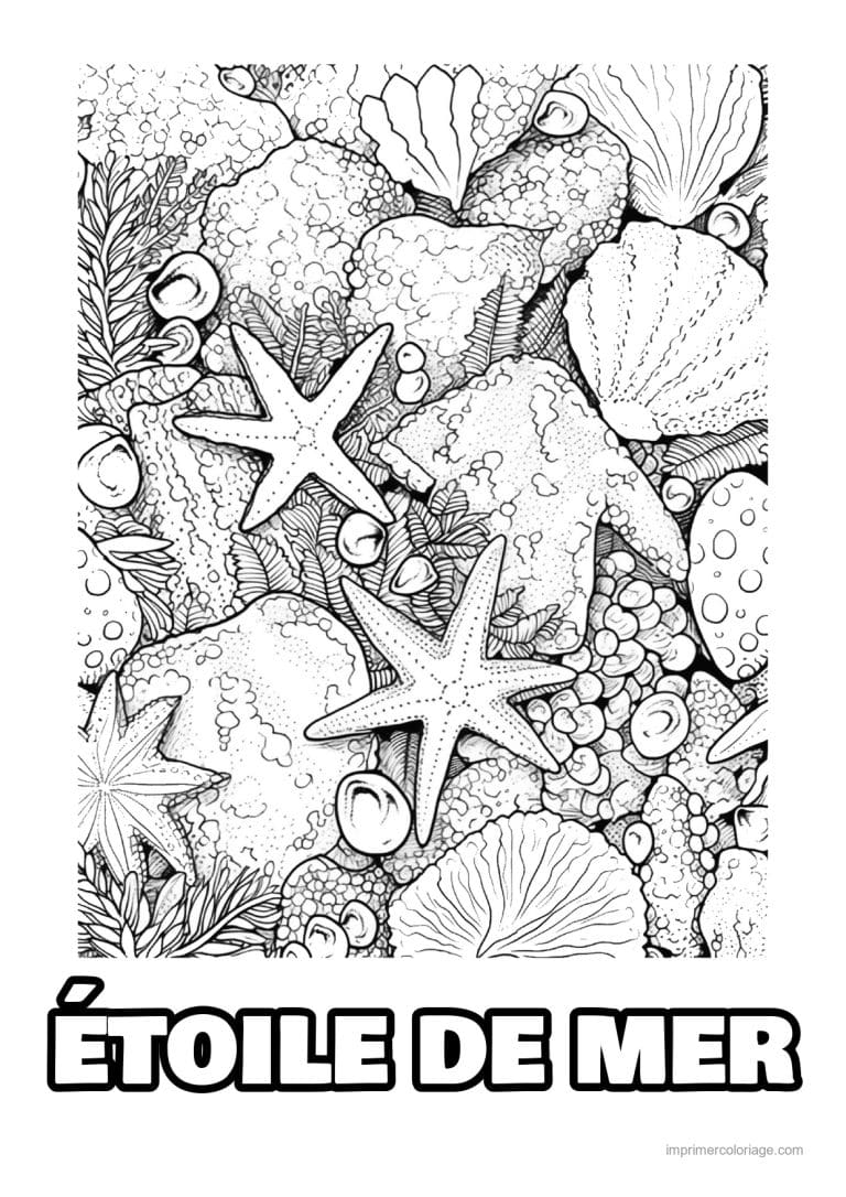 coloriage etoile de mer deux parmi coraux et coquillages - dessin gratuit &agrave; imprimer
