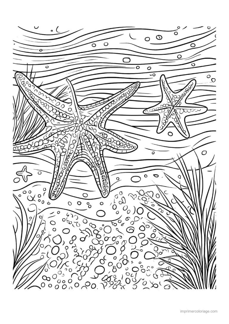 coloriage etoile de mer deux sur fond ondule - dessin gratuit &agrave; imprimer