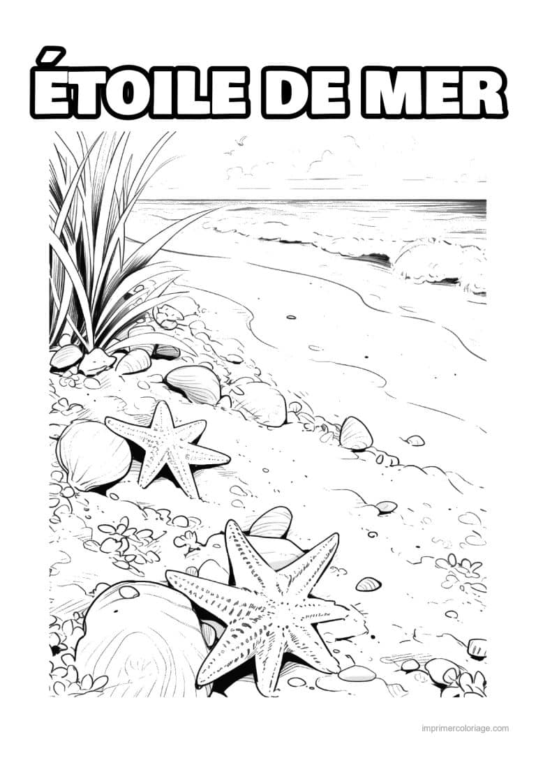 coloriage etoile de mer deux sur la plage aux vagues - dessin gratuit &agrave; imprimer